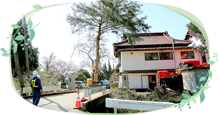 当社が選ばれる理由