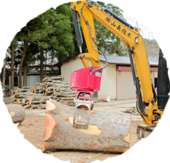 専門家によるプロの伐採